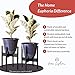 Home Euphoria Natural Bamboo Adjustable Plant Stand. Mid Century Flower Pot Holder and Display. Fits Planters and pots up to 10 Inches (Plant and Pots NOT Included) (Black Bamboo)thumb 1