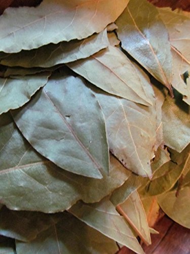 Bay Leaf - Whole Bay Leaves .05 Oz with laminated Bay Leaf Reference Card