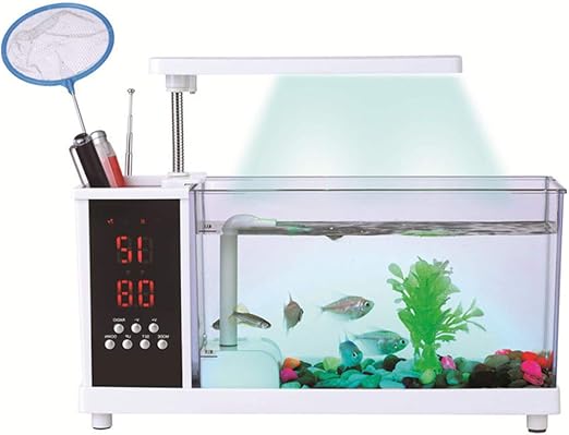 mini desk aquarium