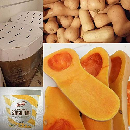 Hearthy Foods Delicious Squash Flour, Gluten Free, Non-GMO, Sixteen Ounces