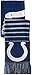 Indianapolis Colts 2014 Big Logo Scarf