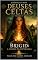Livro Brigid: A Chama da Esperança (Crônicas dos Deuses Celtas Livro 5)