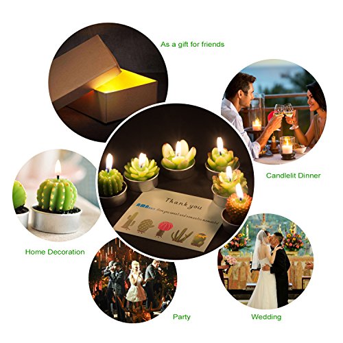 Cactus Tealight Candles, AMASKY Handmade Delicate Succulent Cactus Candles for Valentine's day Birthday Party Wedding Spa Home Decoration, 12 Pcs in Pack. (12)