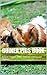 Guinea pigs Book: Around attitude, food, nutrition, taming and diseases by guniea pig