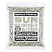 Sunflower Seeds Raw Hulled (No Shell) Unsalted - 1 LB Resealable Bag