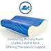 ViscoSoft Hypoallergenic Memory Foam Queen Arctic Gel Contour Pillow with Removable Cover