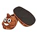 Dammer Poop Emoji Slippers Unisex Plush Fluffy Slippers, Cute Cartoon Winter Shoes (Brown)