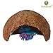 SunGrow Betta Cave, Coconut Shell Habitat, Soft, Smooth Edged Spacious Hideout for Resting and Reproducing, Shelter and Hideout for Betta Babies