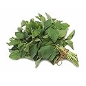 Organic Oregano, 0.25 oz Clamshell