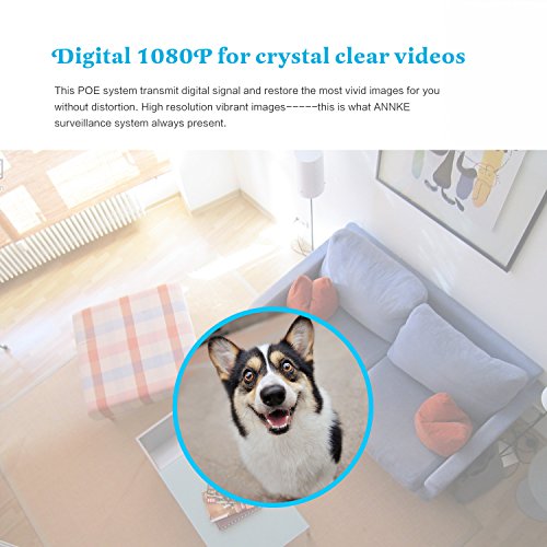 SANNCE-New-1080P-2-Megapixel-1920-x-1080p-POE-Video-Security-System-and-4-1920TVL-Outdoor-Bullet-IP-Cameras-with-100ft-Night-VisionWeatherproof-Metal-Housing-1TB-HDD-Power-over-Ethernet-White