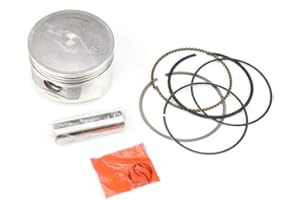 Chanoc Piston Assembly for 250cc ATV Quad Go Kart Dune Buggy Hammerhead Joyner Roketa Jonway