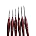 Professional Detail Paint Brush Set of 6 pcs, Miniature Brushes for Detailing & Art Painting - Acrylic, Watercolor, Oil - Models, Airplane Kits, Nail Painting