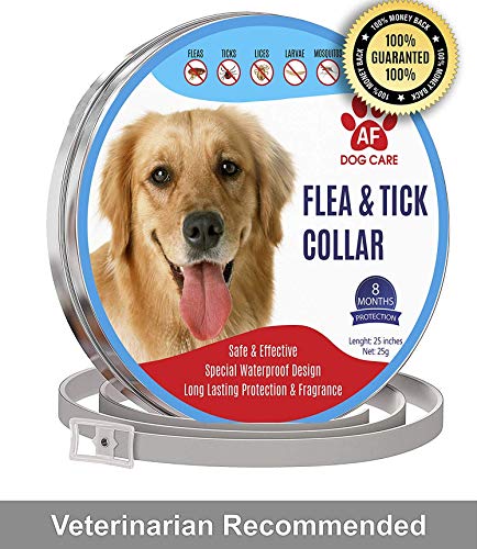 AF Dog Flea and Tick Control Collar - 8 Months Flea and Tick Control for Dogs - Natural, Herbal, Non-Toxic Dog Flea Treatment - Waterproof Protection and Adjustable Best Flea Collar for Dogs