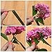 Floral Tape Self-Sealing, Dark Green (LightGreen/Green)