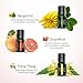 Anjou Essential Oils Set Top 9 Pack 100% Pure Aromatherapy Oil Kit, Include Lavender, Bergamot, Sage, Grapefruit, Palmarosa, Cinnamomum and More
