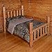 THE WOODS Premium Microfiber CAMO Comforter (Brown, Twin)