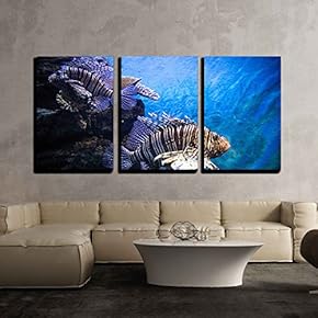 3 Piece Canvas Wall Art - Underwater Landscape with Fishes in oceanarium - Modern Home Art Stretched and Framed Ready to Hang - 16"x24"x3 Panels