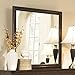 Coaster Home Furnishings Tatiana Square Mirror, Warm Brown