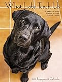What Labs Teach Us 2019 Engagement Calendar (Dog Breed Calendar) by