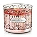 Bath and Body Works 3 Wick Candle 2016 Edition Champagne Toast Gold with Bowtie