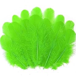 Soarer 300pcs Green Feathers for Crafts - 3-5inch