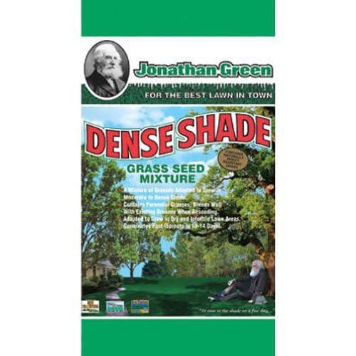 10 Best Grass Seeds for Shade 2020 Garden Consumers