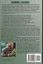 Growing Lavender - Growing, Using, Cooking and