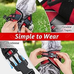 rabbitgoo Cat Harness and Leash Set for Walking