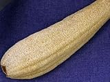 Whole Egyptian Organic Natural Scrubber Sponge 17