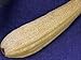 Whole Egyptian Organic Natural Scrubber Sponge 17" LOOFAH LOFA LOOFA Exfoliation