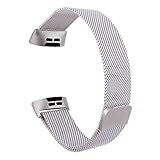 TOMALL Replacement Bands for Fitbit Charge 3, Waterproof Adjustable Replacement Accessories with Magnet Lock for Fitbit Charge 3 (Silver)