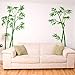 SWORNA Nature Series SN-78 Elegant Green Bamboo Vinyl Removable DIY Wall Art Mural Sticker Decor Decal - Lady Bedroom Office Sitting Living Room Hallway Kitchen Glass Door Window Nursery 65