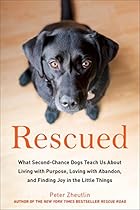 Rescued: What Second-Chance Dogs Teach Us About Living with Purpose, Loving with Abandon, and Finding Joy in the Little Things Rescued: What Second-Chance Dogs Teach Us About Living with Purpose, Loving with Abandon, and Finding Joy in the Little Things