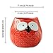 Everyday Better Life 6 PCS Set Cute Animal Owl Shaped Cartoon Home Garden Decoration Succulent Cactus Flower Pot/Plant Pots/Planter/Container