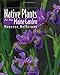 Native Plants for Your Maine Garden