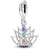 LNQOBU 925 Sterling Silver Charms for Bracelets Dangle Pendant fit Pandora Bracelets or Necklaces Jewelry Woman Gift Beads Charm (With one Spacer Beads)