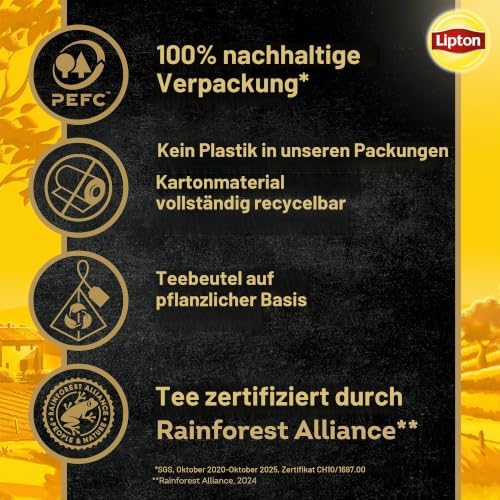 Forest Fruits Schwarztee Erdbeere Pyramidenbeutel 20 Teebeutel