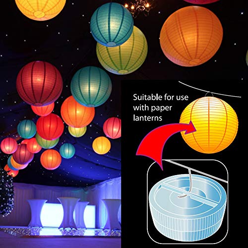 5 SEED+Submersible+Exclusive+Waterproof+Centerpieces