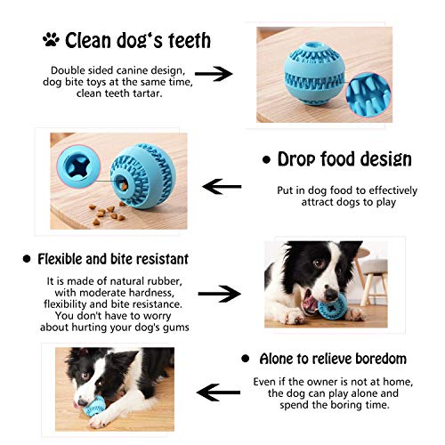 toys dogs can play with alone