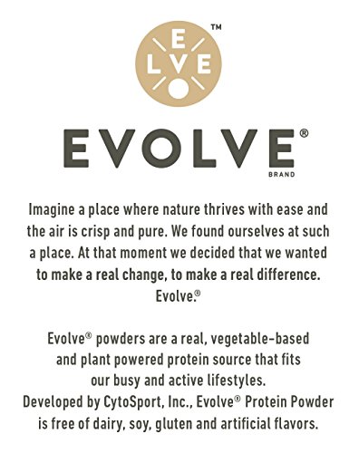 Evolve Plant Based Protein Powder, Vanilla Bean, 20g Vegan Protein, Dairy Free, No Artificial Flavors, Non-GMO, 10g Fiber, Amazon Exclusive, 2 Pound (Packaging May Vary)