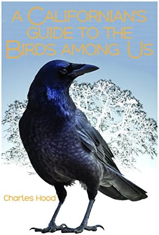 Birds of the Forest: Lansdowne, James Fenwick: 9780884860273