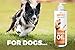 Mighty Salmon Oil Itching & Shedding Relief All Natural Wild Fish Oil for Dogs and Cats with Bonus eBook! Shiny Coat & Healthy Heart Rich in EPA DHA Omega 3-6 Vitamins & Antioxidants Made in USA