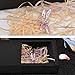 ElekFX Hair Clip Beauty Hair Pin Dragonfly Design Headband for Women and Girls - Pink【2 PACK】