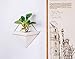 Hanging Planter for Indoor Plants, Geometric Wall Decor Container - Great for Succulent Plants, Air Plant, Faux Plants,White Ceramic/Brass