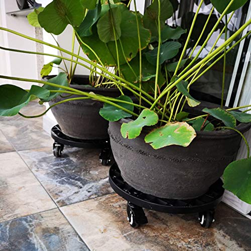 XEDRAGONY PLANT STAND PLANTER CADDY HEAVY DUTY WITH LOCKING WHEELS OUTDOOR INDOOR 13 TO 20 INCH 450 TO 700 LBS CAPACITY (LARGE)
