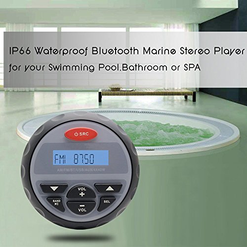 Herdio Marine Gauge Radio Receiver System, Waterproof inDash Marine