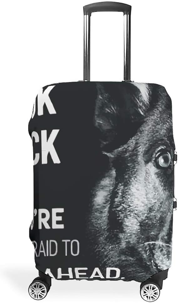 luggage ahead