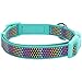 Blueberry Pet 13 Patterns Magic Rainbow Color Reflective Polka Dot Holo Dog Collar in Mint Blue, Medium, Neck 14.5