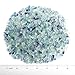 Top Plaza Natural Fluorite Tumbled Chips Crushed Stones Reiki Healing Quartz Crystals Irregular Shaped Gemstones 0.45lb