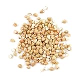 Buckwheat Groats, 25 Lb Bag